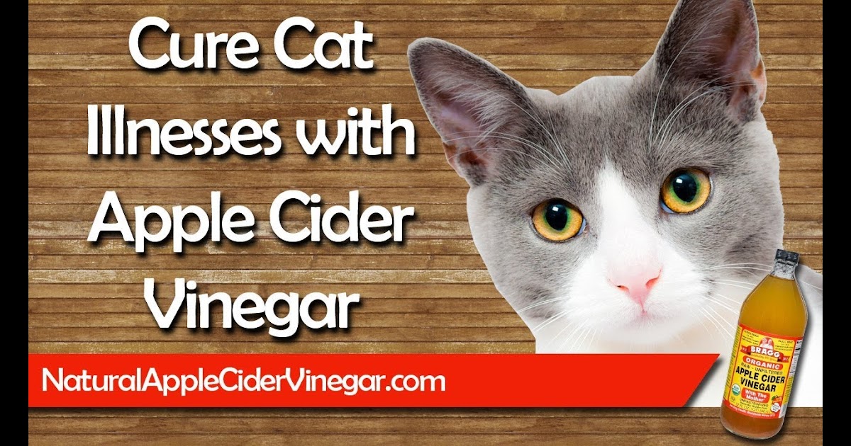 Home Remedies For Fleas On Cats Apple Cider Vinegar Apple Poster
