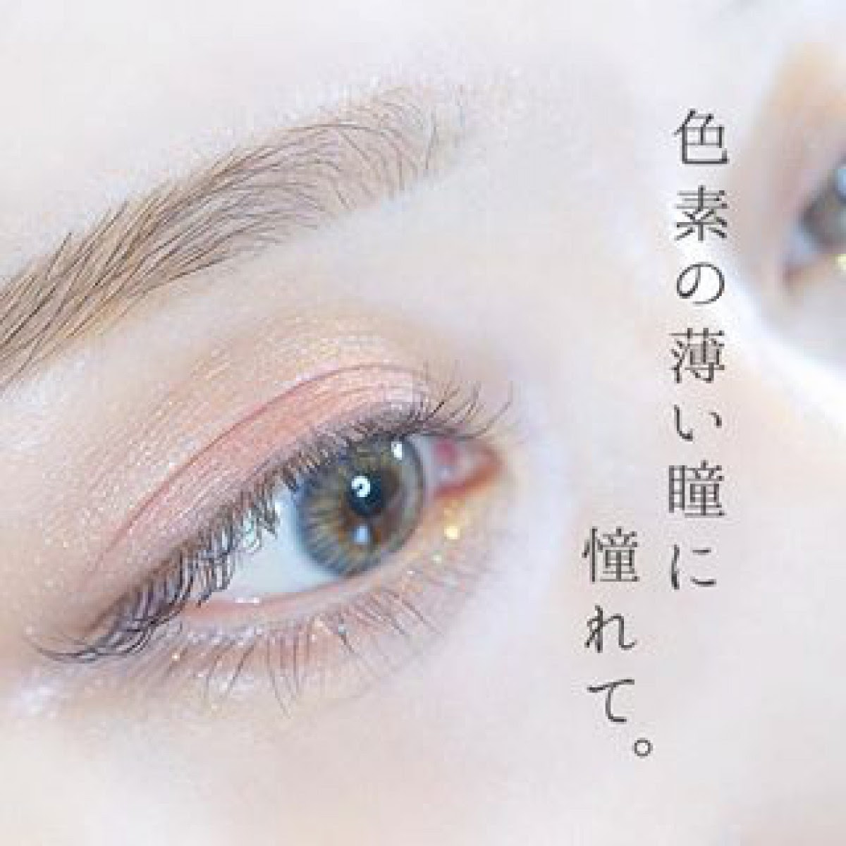 最高のコレクション うさぎ 系 メイク 317628 Mbaheblogjpzqum