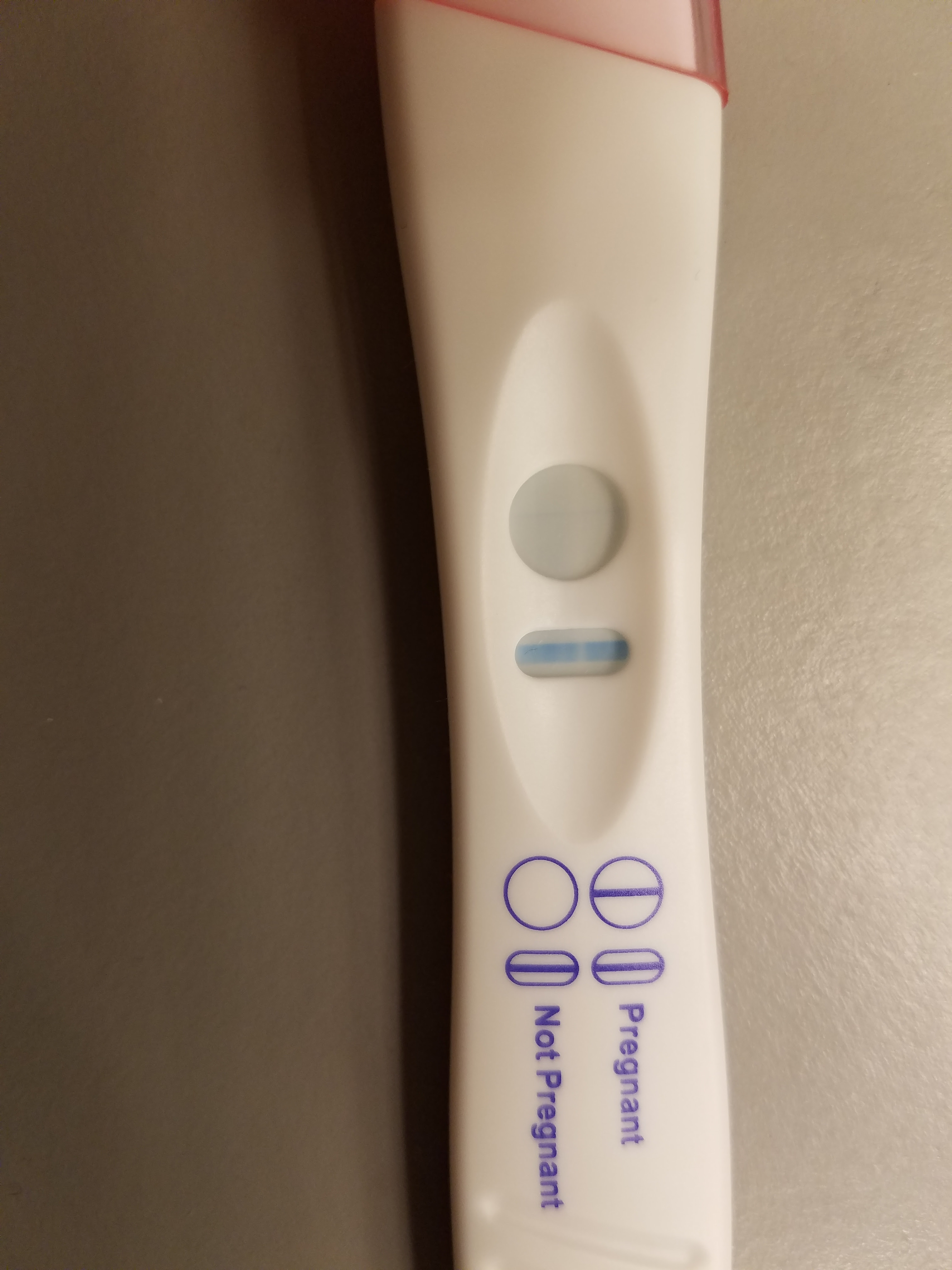 what is the pregnancy test do