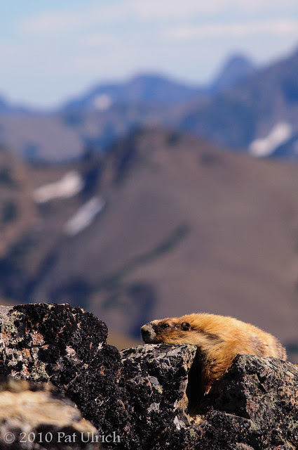 Quite a view from this sunning stone