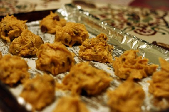 photo chocolate_chip_pumpkin_cookies.jpg