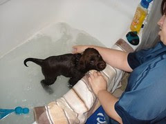 Nash First Bath
