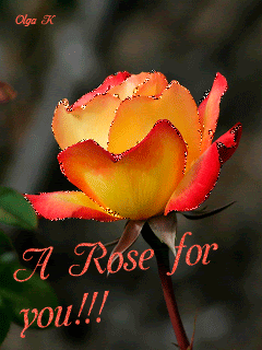 Роза для тебя.