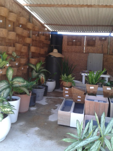 Avaliações sobre Horto Natura em Salvador - Floricultura