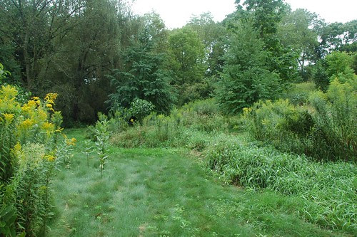 Grassy Path, Brine Garden