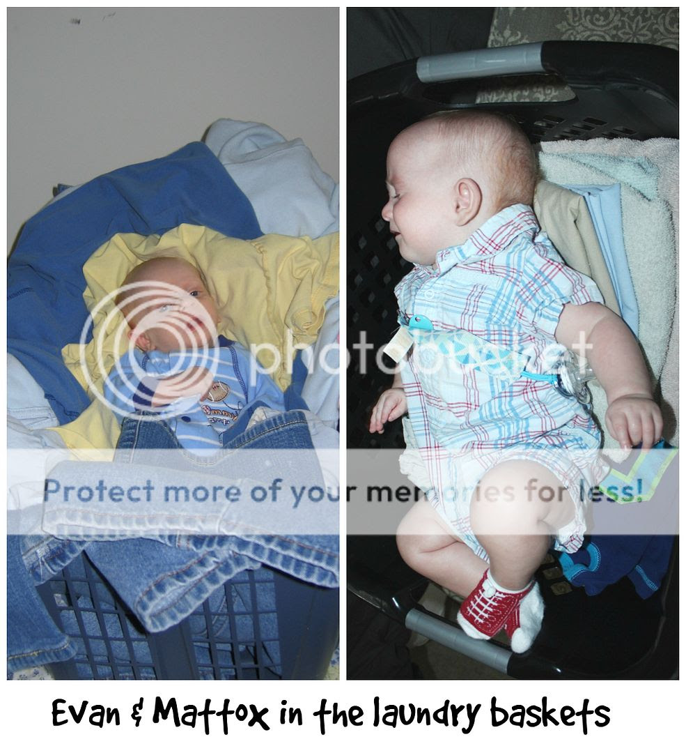 photo Mattox.comparison1_zpsm1cwv9ib.jpg