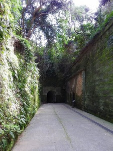 s-DSCN2390.jpg