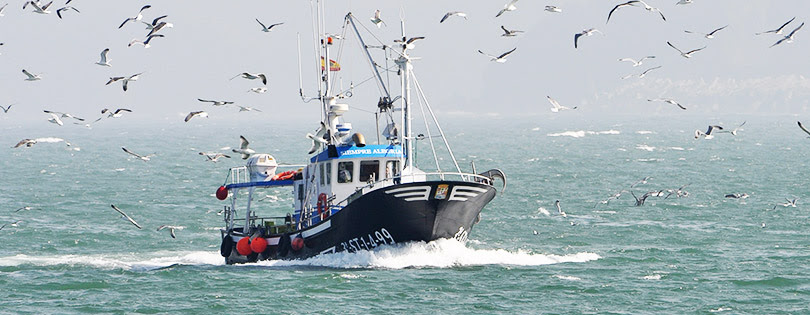 Resultado de imagen de balears pesca