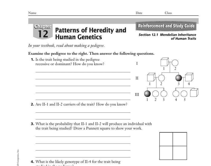 14.1 Human Chromosomes Answers Pdf / 234 2020W2 Week 3 tutorial problem