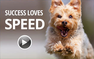 Success Loves Speed Video - 100 Day Challenge