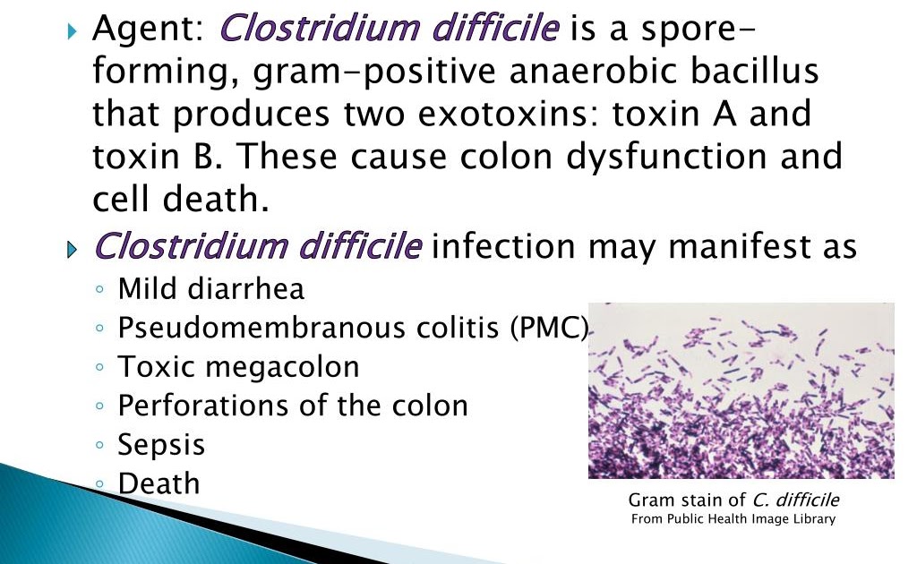 What Does Presumptive Negative Mean For C Diff