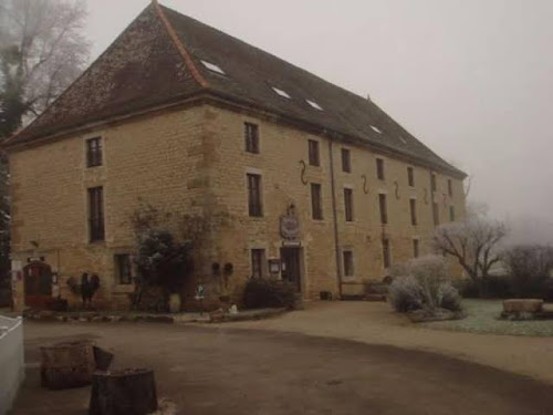hôtels Le Moulin de Bourgchateau Louhans