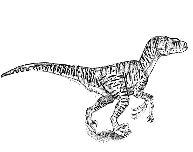 Jurassic Park Spinosaurus Coloring Pages / Spinosaurus Dinosaur Dino