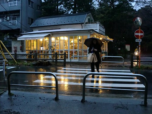 Inokashira Onshi Kōen 05