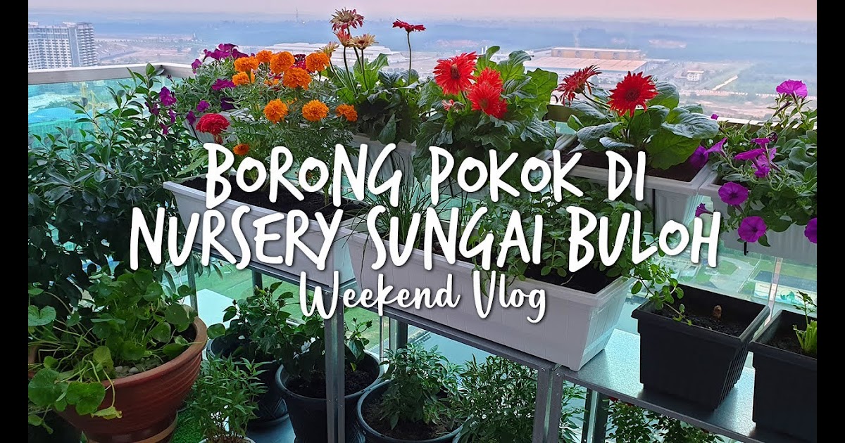 Kedai Bunga Di Sg Buloh