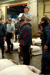 FishMarket_TunaAuction6