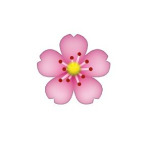 Cherry Blossom Emoji : Symbolizes tenderness and beauty and is often ...