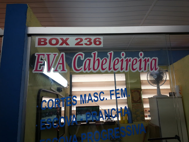 Eva - São Paulo