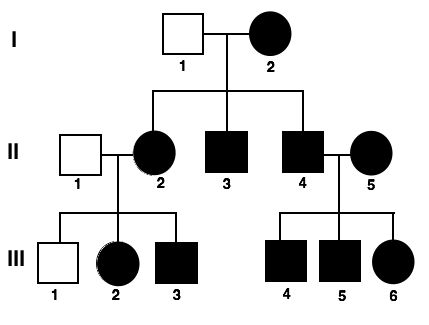 Collection pedigree cri du chat syndrome 234126