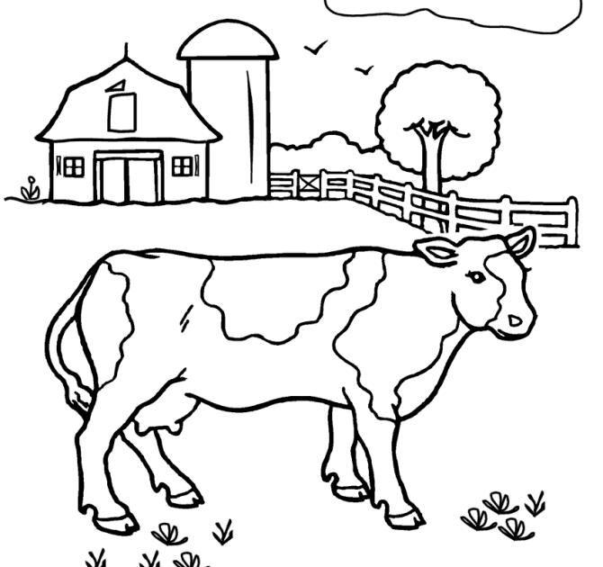 Cow Coloring Pages For Adults - Christopher Myersa's Coloring Pages