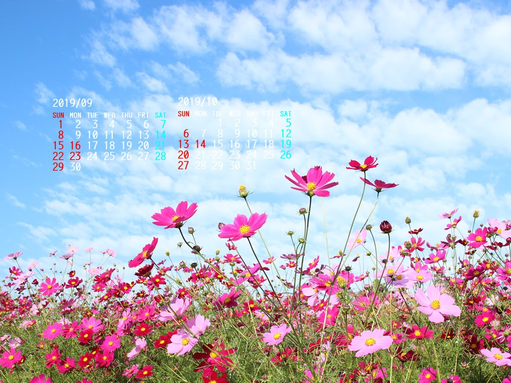 Windows Xp 壁紙 草原 19 Hd壁紙画像コレクション