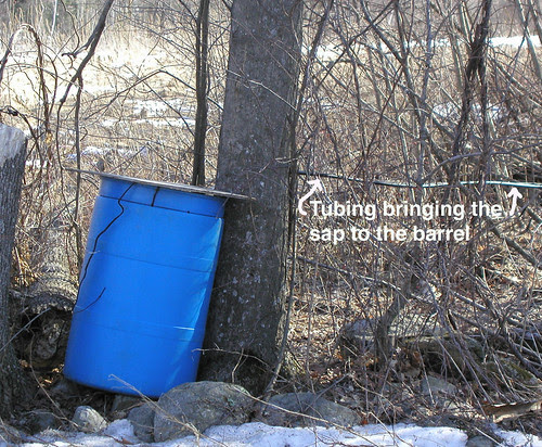 barrel