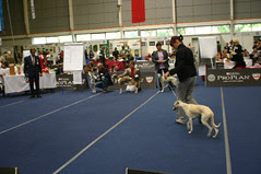 IMG_0079