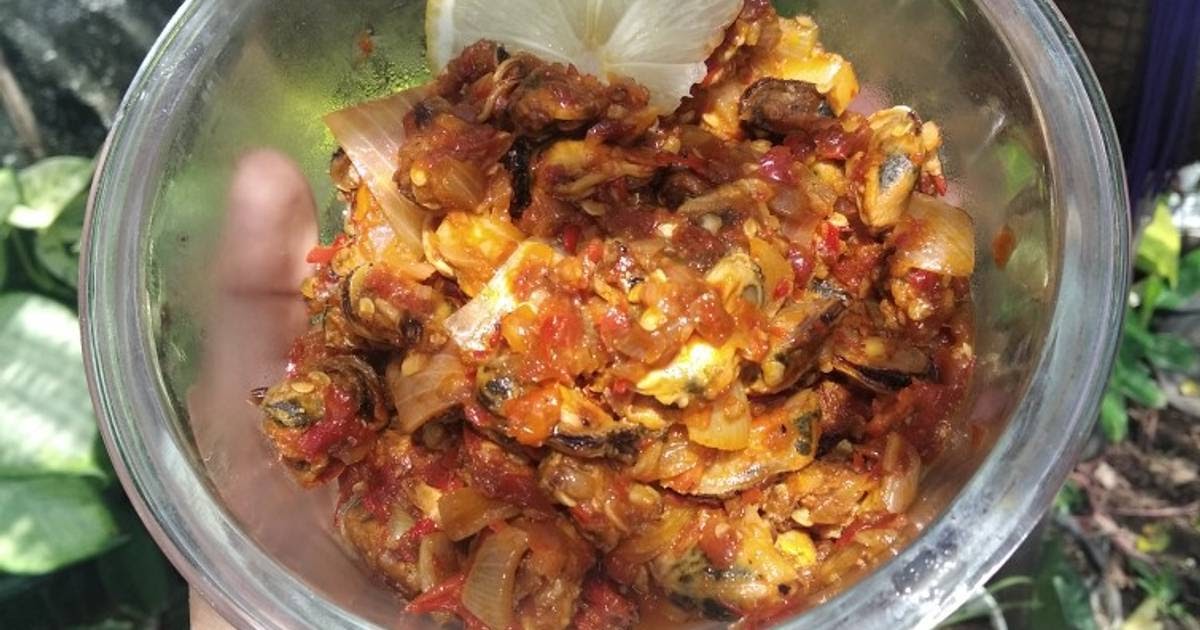 Resep Kerang Kupas Balado Resep Masakan Favorit UDANG