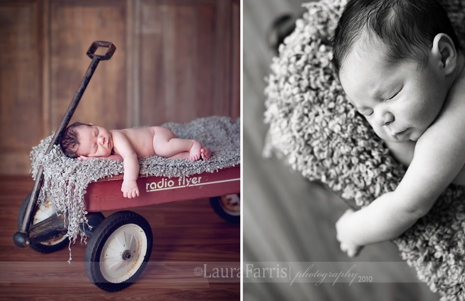 newborn photography boise idaho