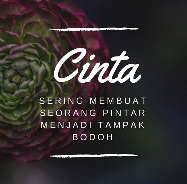 Kata Kata Cinta Itu Buta - Kata Rayuan Gombal