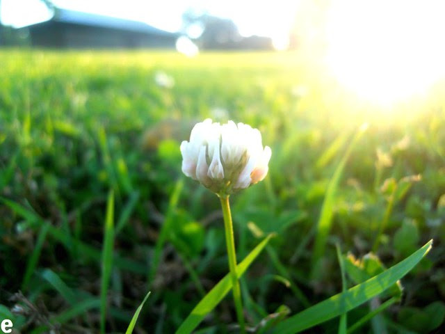 Moment
