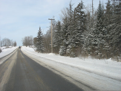 realmud garden: February 2007