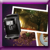 TORREFACTION DE BROCELIANDE JEU-CONCOURS S3 TORREFACTION DE BROCELIANDE JEU-CONCOURS S3