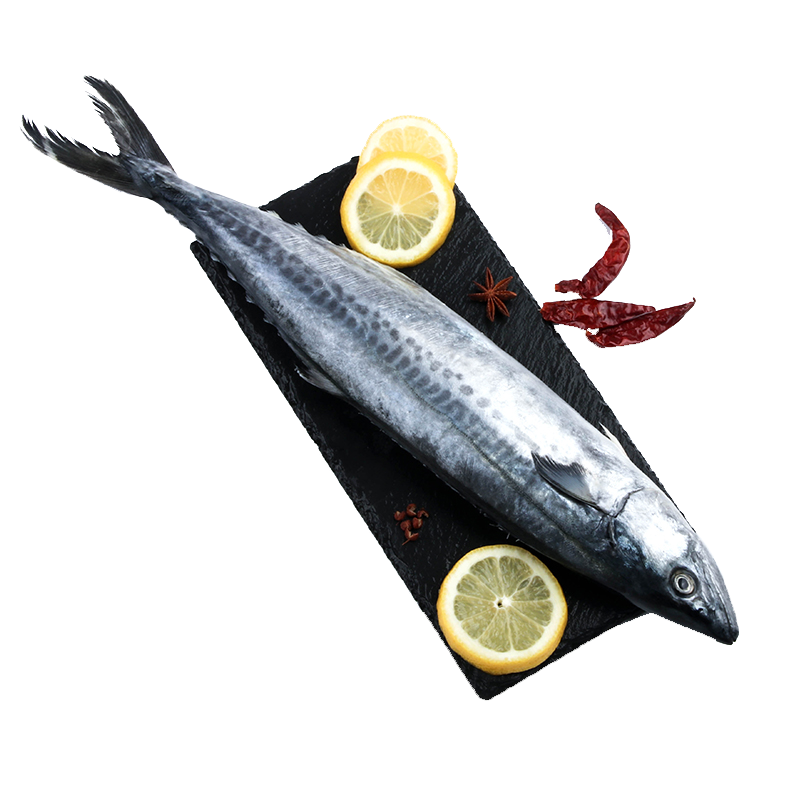 Gambar Ikan Tenggiri Png Gambar Ikan HD