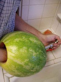 Sandia SelfService para le verano