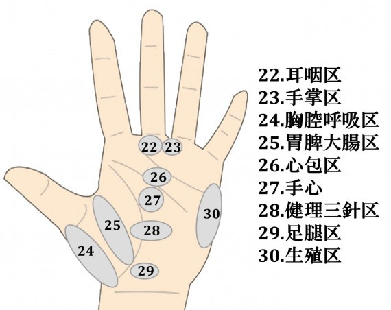 Kasword 手 親指 付け根 つぼ