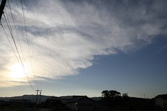 IMG_1907.jpg