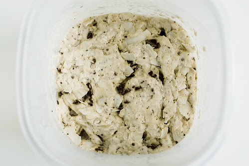 coconut chocolate bread - first rise