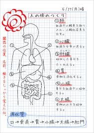 理科 からだ の つくり と はたらき Sevevaty