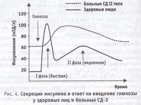 Инсулин в течении дня. График уровень Глюкозы инсулина. График инсулина у здорового человека. Первая фаза секреции инсулина при 2 типе сахарного диабета. Фазы секреции инсулина при СД 2.