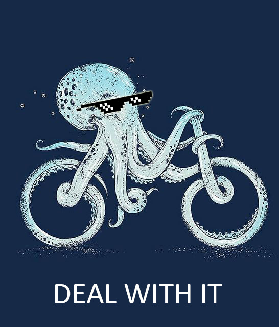 Octopus
