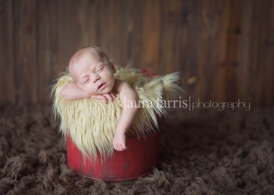 boise newborn photographer