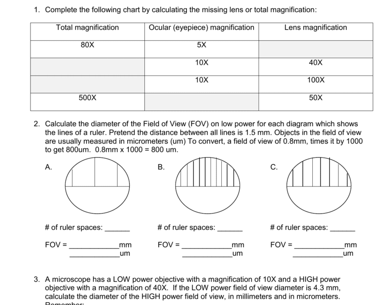 Microscope Worksheet Answers - Micropedia