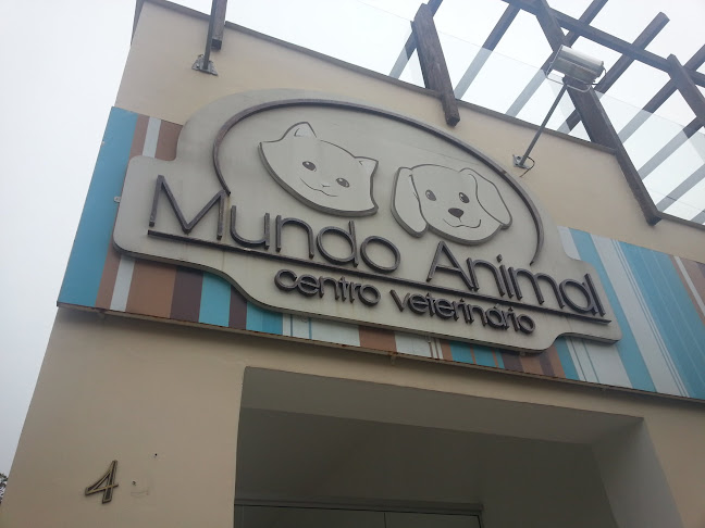 Mundo Animal - Hospital