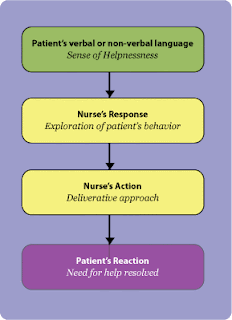 what is the dynamic nurse-patient relationship