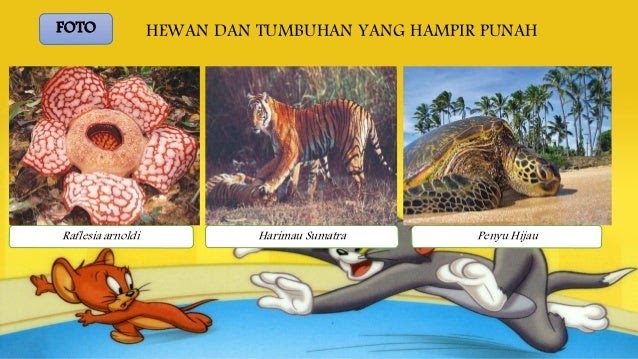 Tren Untuk Poster Melestarikan Hewan Dan Tumbuhan Yg Mudah ...