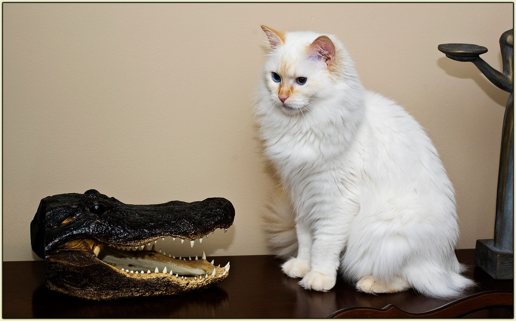 Levon and the Gator (1)