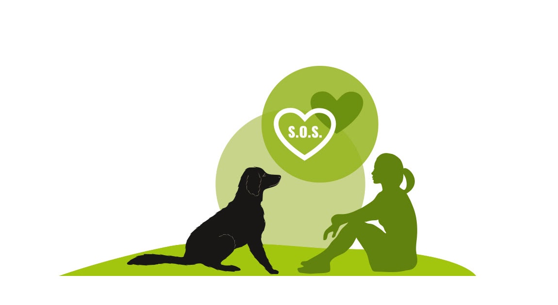 owalo design Hunde In Not Nrw Vermittlung