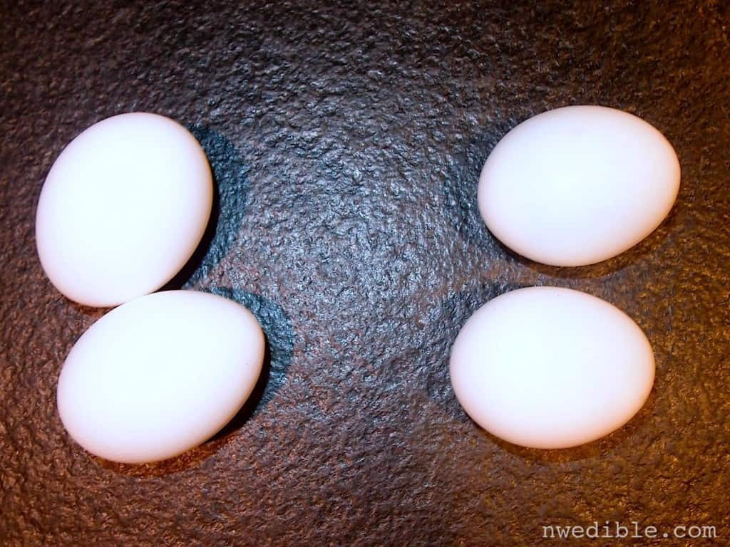 Backyard Eggs Vs Store Bought Eggs A Side By Side Comparison Northwest Edible Life