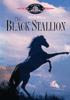 cover of book